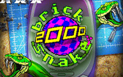 Brick Snake 2000