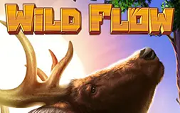 Wild Flow