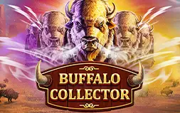 Buffalo Collector