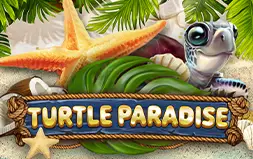 Turtle Paradise