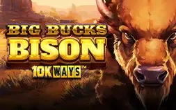 BIG BUCKS BISON10K WAYS