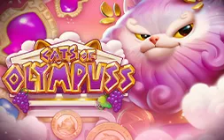 Cats of Olympuss