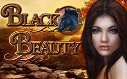 Black Beauty