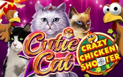Cutie Cat CCS