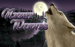 Night Wolves