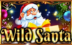 Wild Santa