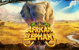 African Elephant™