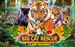 Big Cat Rescue Megaways