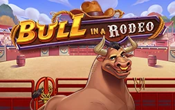 Bull in a Rodeo