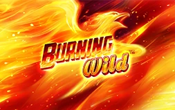 Burning Wild