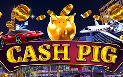 Cash Pig