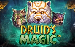 Druid’s Magic