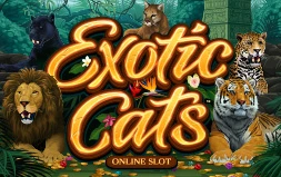 Exotic Cats