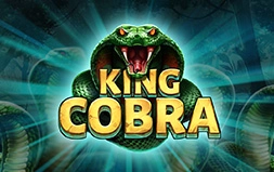 King Cobra