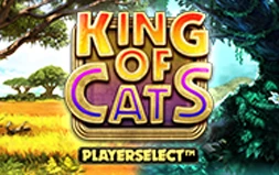 King of Cats