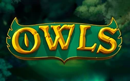 Owls