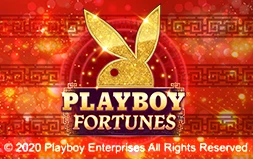 Playboy Fortunes ™