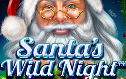 Santa’s Wild Night