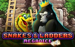 Snakes and Ladders Megadice™