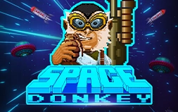 Space Donkey