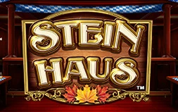 Stein Haus
