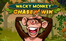 Wacky Monkey - Chase'N'Win