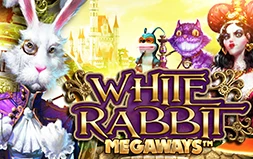 White Rabbit