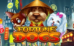 Fortune Dogs