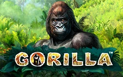 Gorilla™