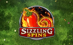 Sizzling Spins